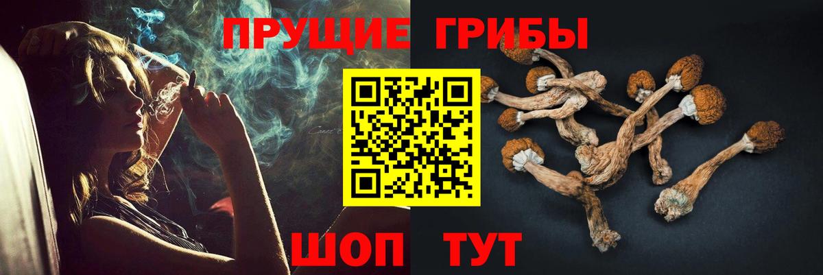 Галлюциногенные грибы Psilocybine cubensis  Псилоцибиновые грибы мухоморы  Вход с VPN  Саранск 